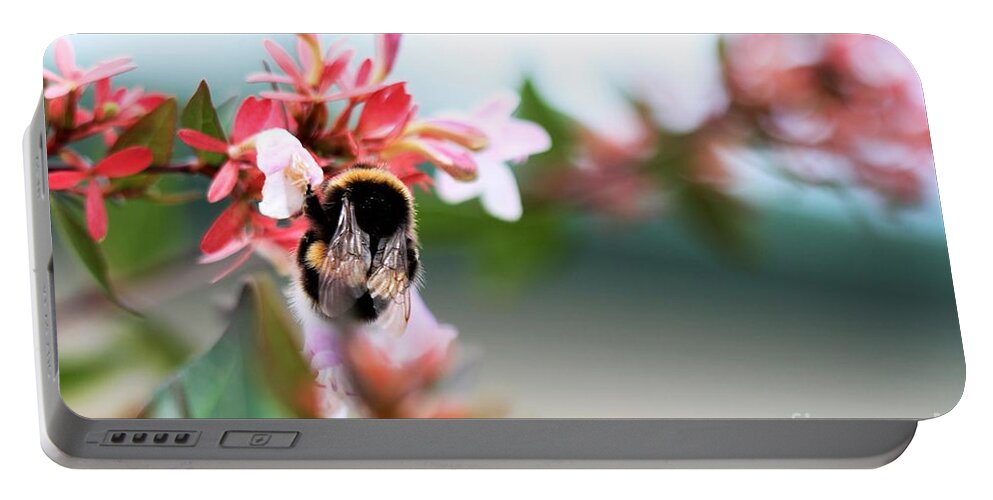 Pretty Portable Battery Charger featuring the photograph Bumble Bee Love by Tracey Lee Cassin