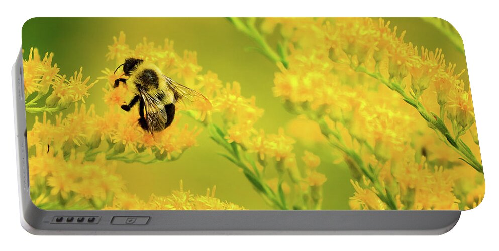 Bee Portable Battery Charger featuring the photograph Bumble Bee on Goldenrod by Joni Eskridge