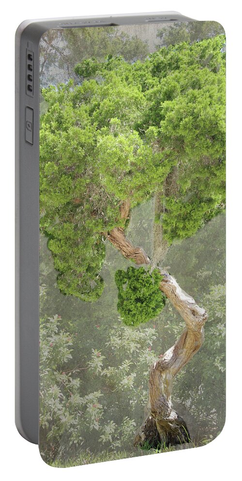 Tree Portable Battery Charger featuring the photograph Bunny Tree by Rosalie Scanlon