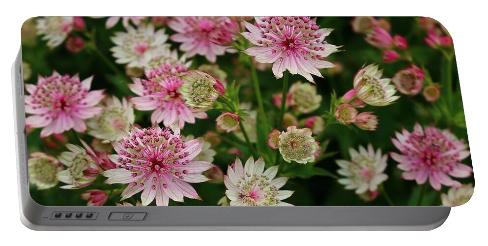 Flower Macro Portable Battery Charger featuring the photograph 'Burgundy Manor' Show by Loretta S
