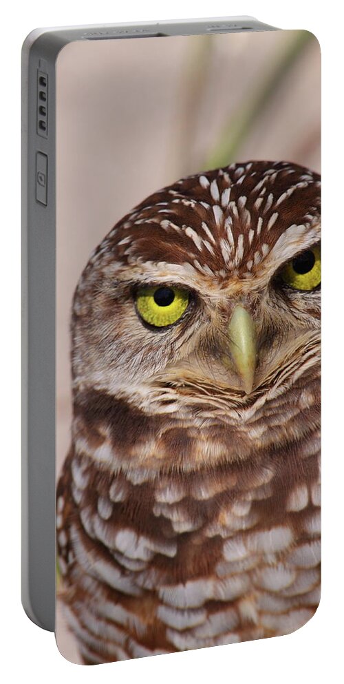 Burrowing Owl Portable Battery Charger featuring the photograph Burrowing Owl by Bruce J Robinson