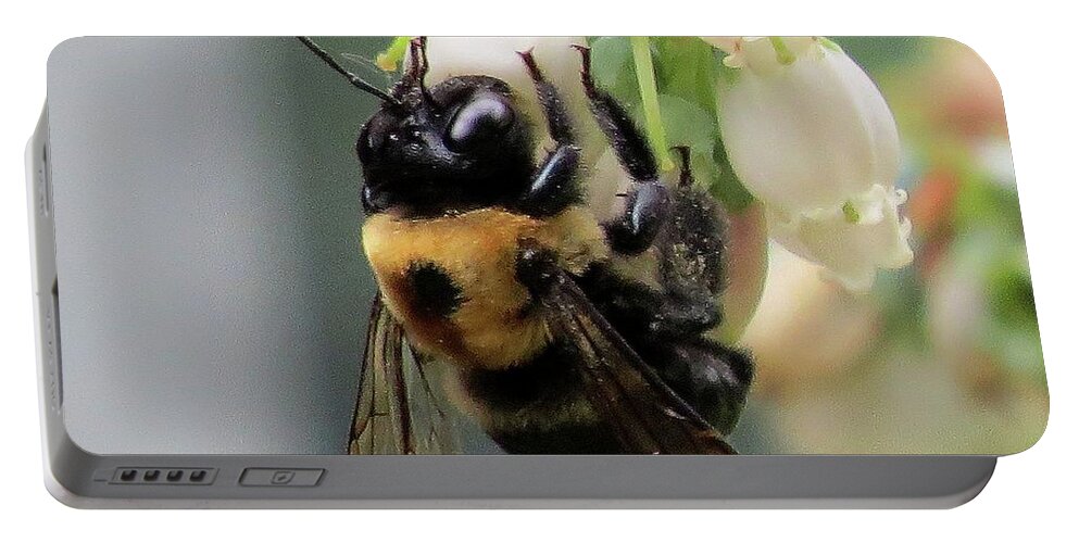 Bees Portable Battery Charger featuring the photograph Busy Bee on Blueberry Blossom by Linda Stern