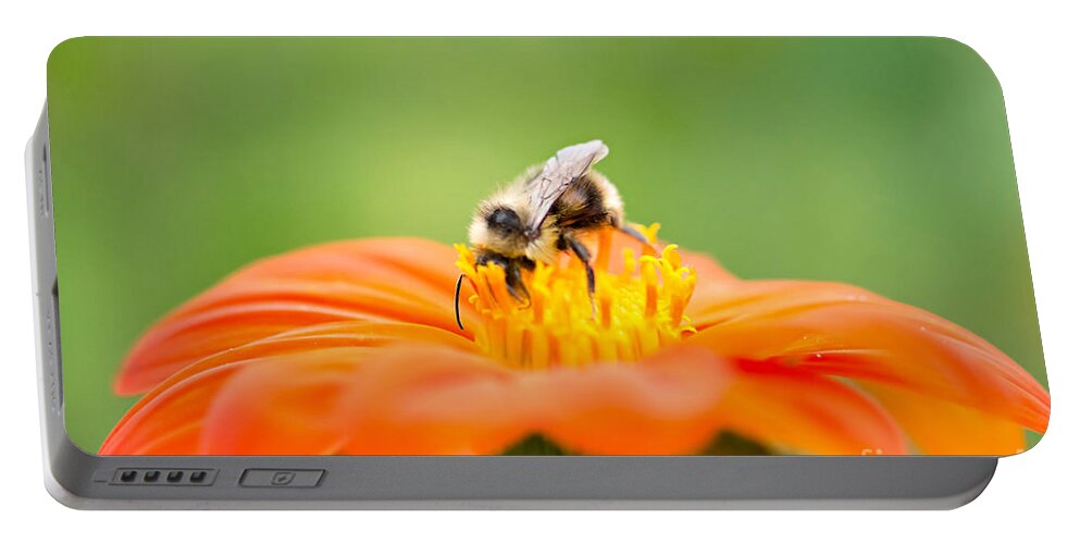 Bee Portable Battery Charger featuring the photograph Busy Bee by Susan Garver