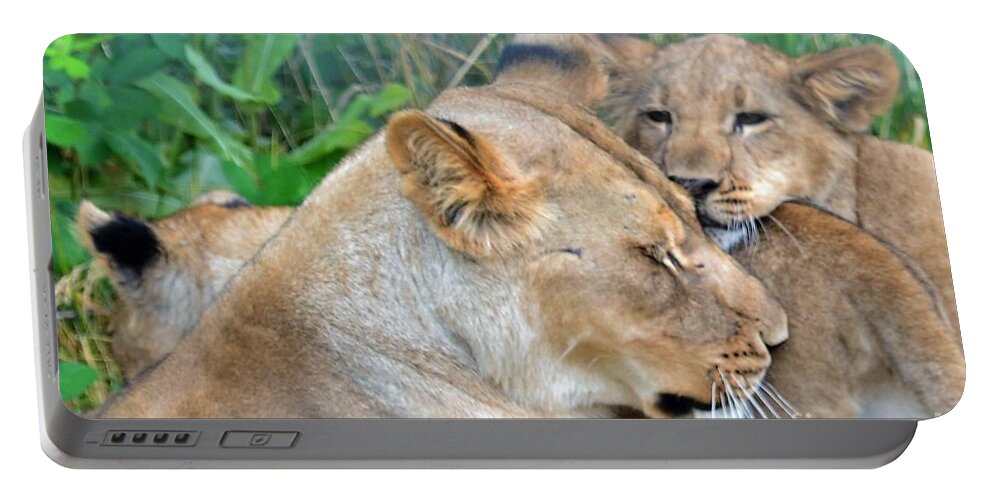 Lion Portable Battery Charger featuring the photograph But, Mom by Laurianna Taylor