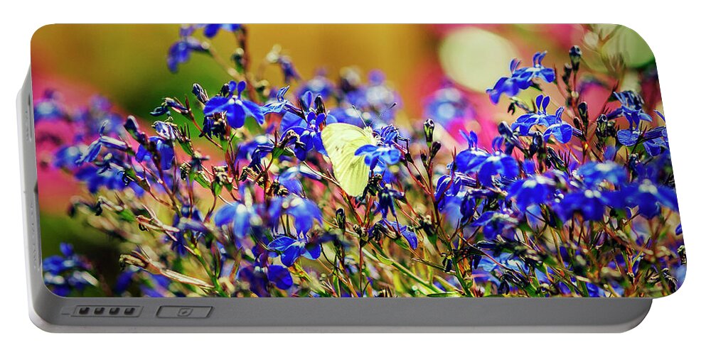 Flower Portable Battery Charger featuring the photograph Butterfly on flowers by Mike Santis
