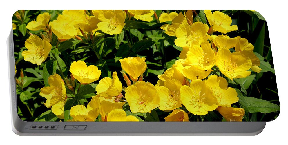 Flower Pictures Portable Battery Charger featuring the painting Buttercup Flowers by Corey Ford
