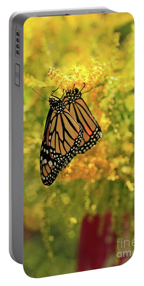 Monarch Butterflies Photo Portable Battery Charger featuring the photograph Butterflies on Yellow Goldenrod Photo by Luana K Perez
