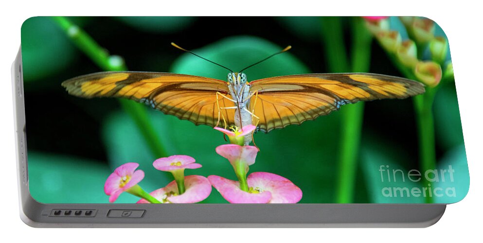 Butterfly Portable Battery Charger featuring the photograph Butterfly #1983 by Chuck Flewelling