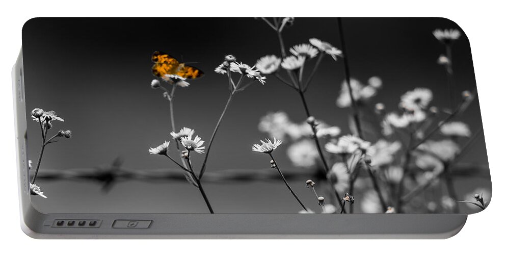 Butterfly Portable Battery Charger featuring the photograph Butterfly and Barb Wire by Holden The Moment