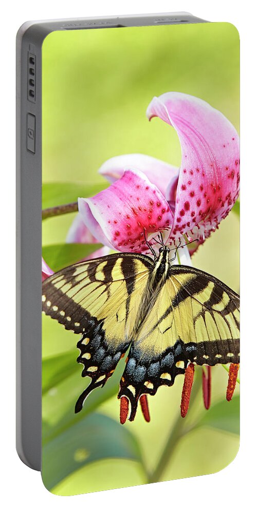 Butterfly Portable Battery Charger featuring the photograph Butterfly and Lily by Garden Gate