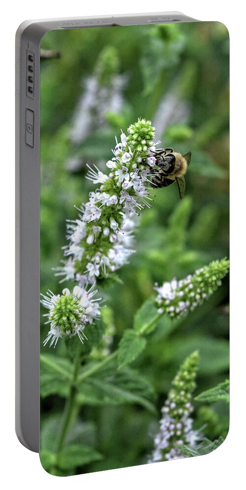 Colorado Portable Battery Charger featuring the photograph Butterfly Bush Bee by FineArtRoyal Joshua Mimbs
