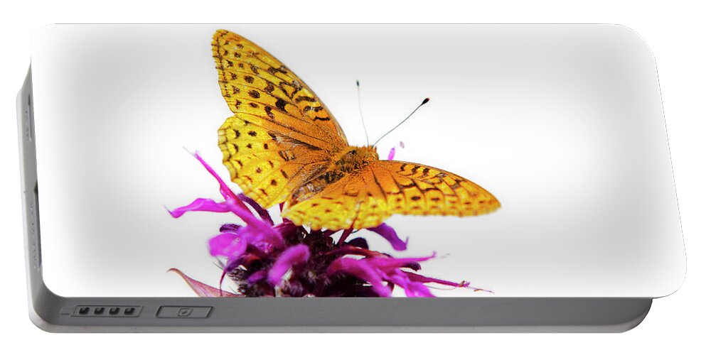 Butterfly Portable Battery Charger featuring the photograph Butterfly by Christina Rollo
