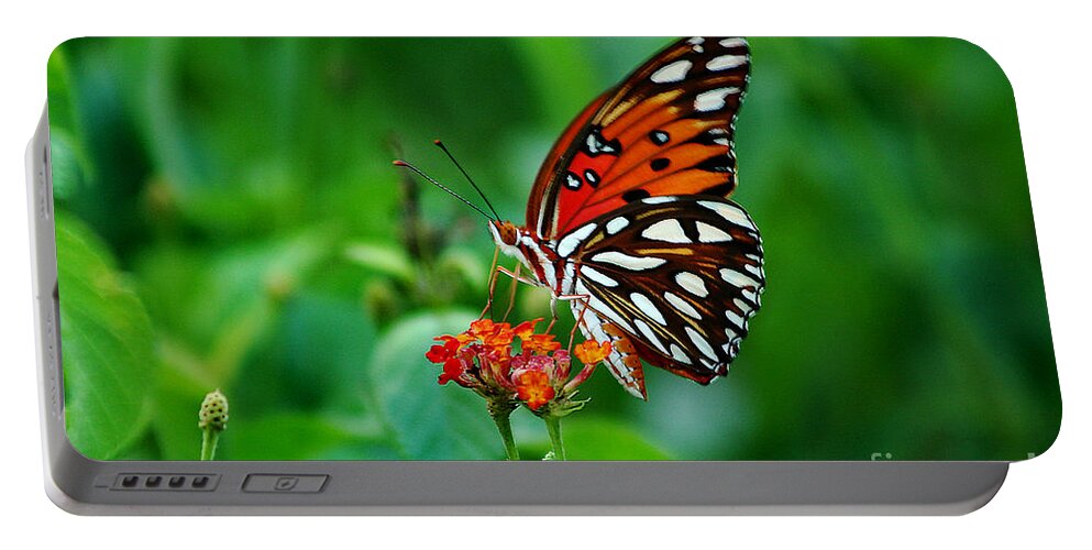 Butterfly Portable Battery Charger featuring the photograph Butterfly Feeding on Lantana by DB Hayes