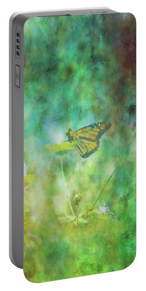 Butterfly Portable Battery Charger featuring the photograph Butterfly Impression 5653 IDP_2 by Steven Ward
