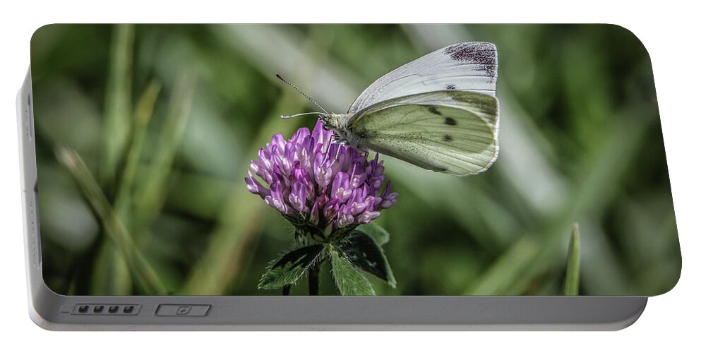 Butterfly Portable Battery Charger featuring the photograph Butterfly In Love by Ray Congrove