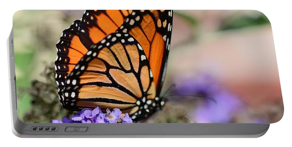 Butterfly Portable Battery Charger featuring the photograph Butterfly Kisses by Cindy Manero