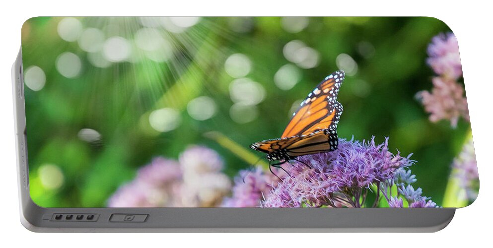 Butterfly Portable Battery Charger featuring the photograph Butterfly Light by Cathy Kovarik