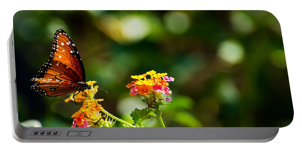 Butterfly Portable Battery Charger featuring the photograph Butterfly on a Flower by Douglas Killourie