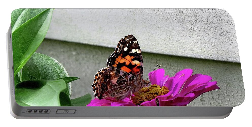 Butterfly Portable Battery Charger featuring the photograph Butterfly on Gerbera Daisy by Linda Stern