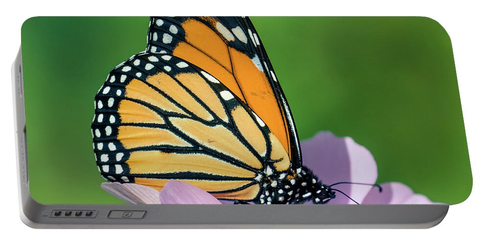 Butterfly On The Flower Portable Battery Charger featuring the photograph BUtterfly on the flower 3 by Lilia S