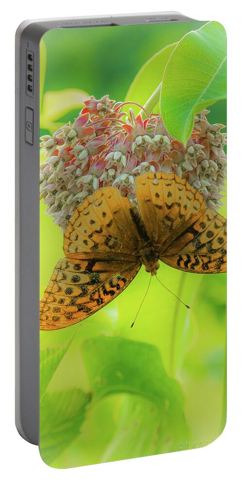 Butterfly Portable Battery Charger featuring the photograph Butterfly On Wild Flower by Henri Irizarri