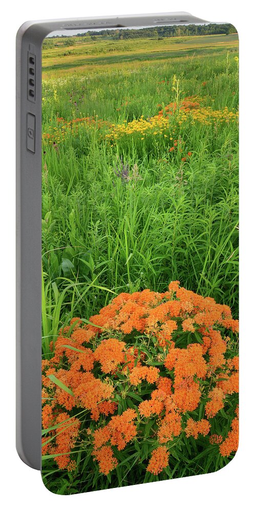 Illinois Portable Battery Charger featuring the photograph Butterfly Weed Prairie by Ray Mathis