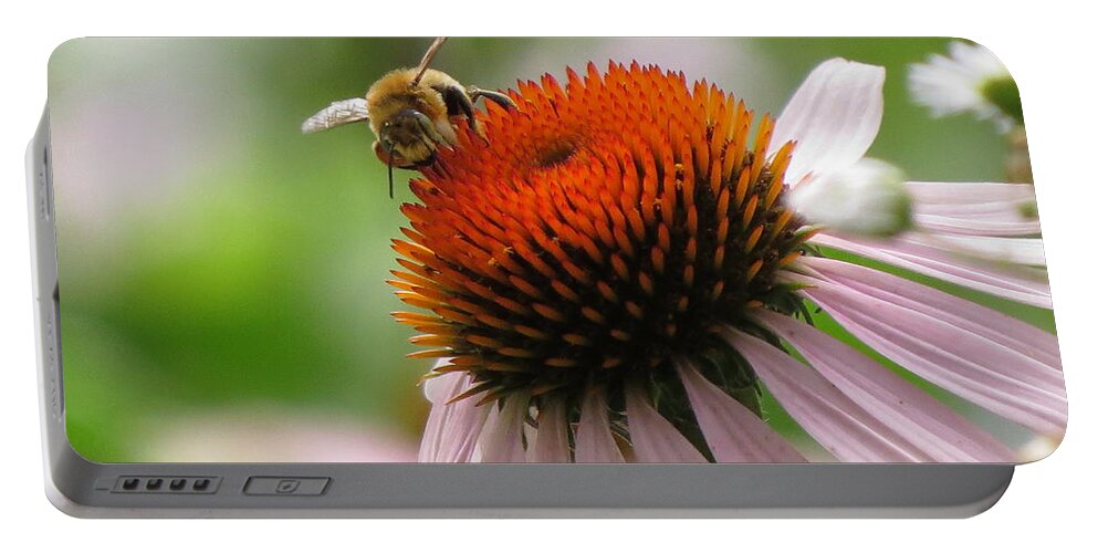  Portable Battery Charger featuring the photograph Buzzing the Coneflower by Kimberly Mackowski
