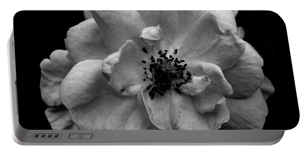 Rose Portable Battery Charger featuring the photograph BW Rose by Misentropy