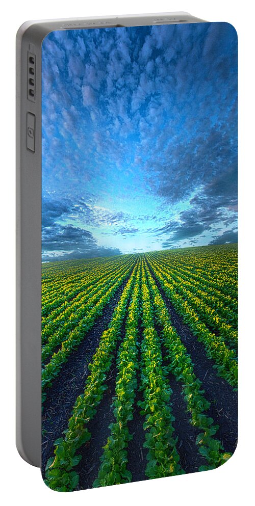 Cabbage Portable Battery Charger featuring the photograph Cabbage Forever by Phil Koch
