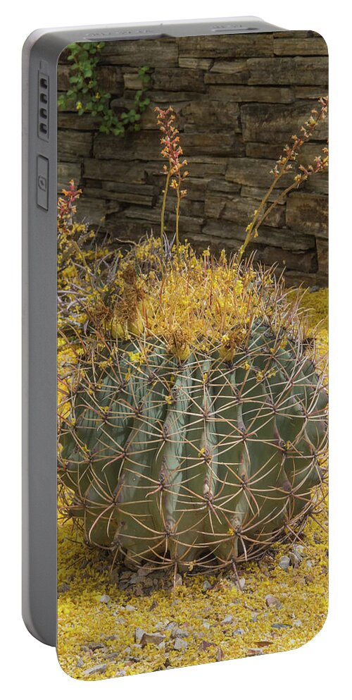 Cactus Portable Battery Charger featuring the photograph Cactus 5940-041118-1 by Tam Ryan