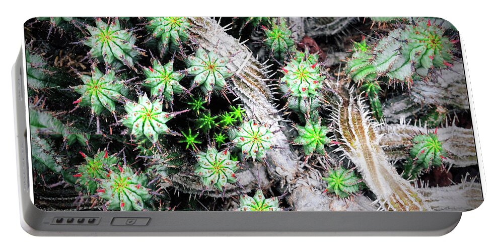 Cactus Portable Battery Charger featuring the photograph Cactus City by Peggy Dietz