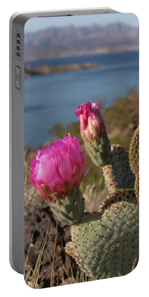 Cactus Portable Battery Charger featuring the photograph Cactus Flower by Jeff Floyd CA