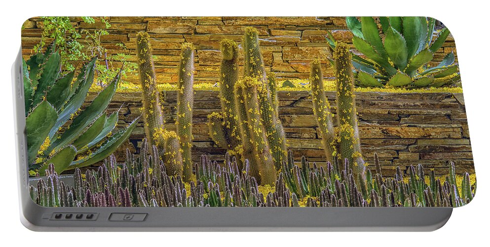 Cactus Portable Battery Charger featuring the photograph Cactus Garden 5861-041118-1cr by Tam Ryan