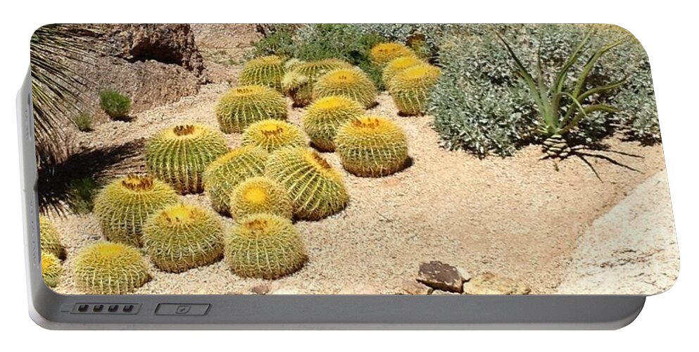 Landscape Portable Battery Charger featuring the photograph Cactus Parade by Glenda Zuckerman