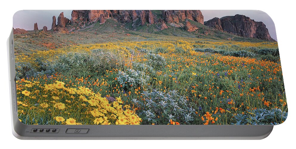 00175967 Portable Battery Charger featuring the photograph California Brittlebush Lost Dutchman by Tim Fitzharris