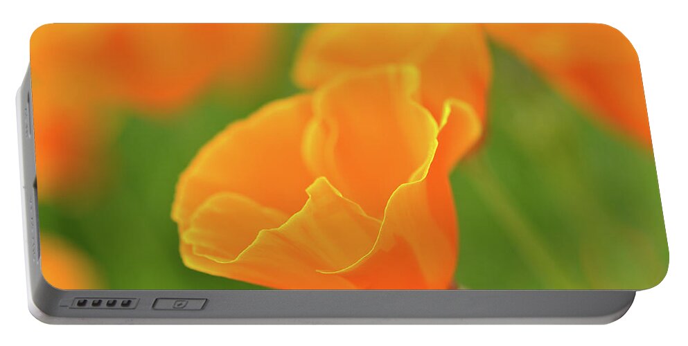Flower Portable Battery Charger featuring the photograph California Spring Poppy Macro Close Up by Brandon Bourdages