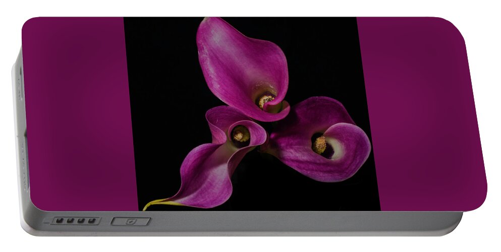 Lily Portable Battery Charger featuring the photograph Calla Lilies #1 by John Roach