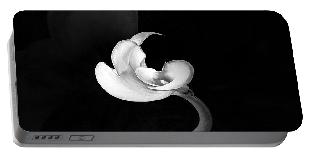 Calla Lily Portable Battery Charger featuring the photograph Calla Lily Study 1 by Usha Peddamatham