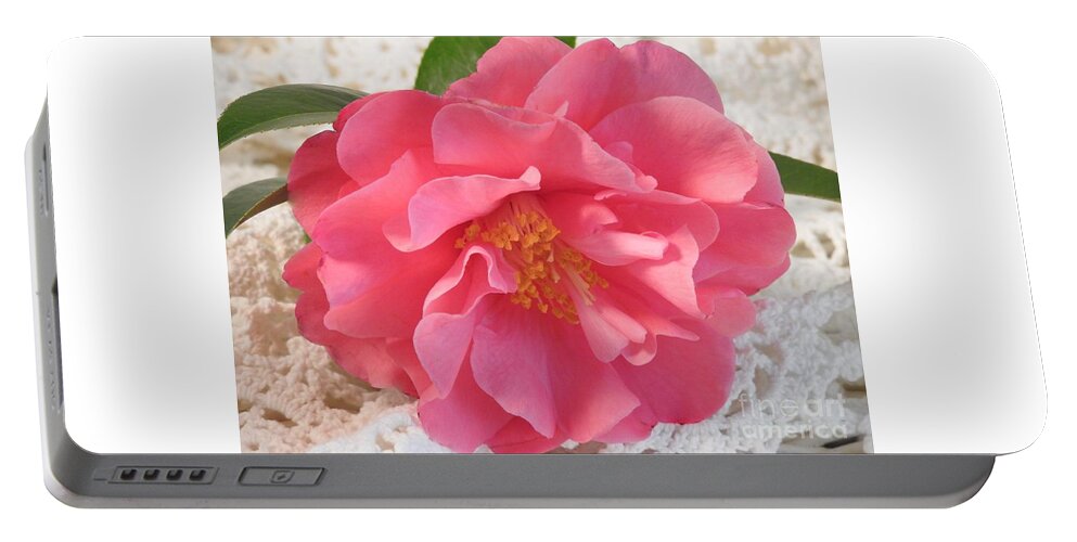 Flower Portable Battery Charger featuring the photograph Camellia On Lace by Jan Gelders