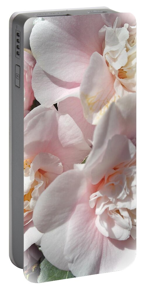 Camellia Portable Battery Charger featuring the photograph Camellias Softly by Michele Myers
