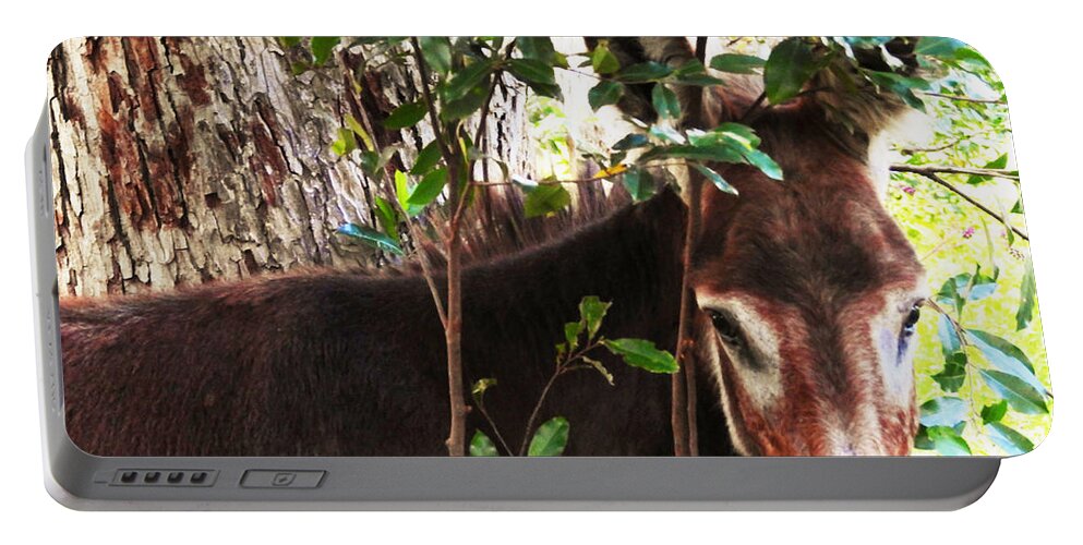 Equine Portable Battery Charger featuring the photograph Camera Shy Donkey by Jan Gelders