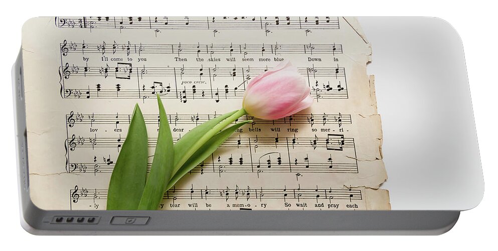 Tulip Portable Battery Charger featuring the photograph Can You by Kim Hojnacki
