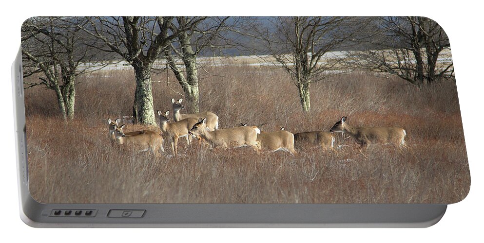 Deer Portable Battery Charger featuring the photograph Canaan Valley Deer by Jack Nevitt