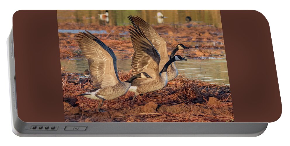Canada Portable Battery Charger featuring the photograph Canada Geese 1698-011918-2cr by Tam Ryan