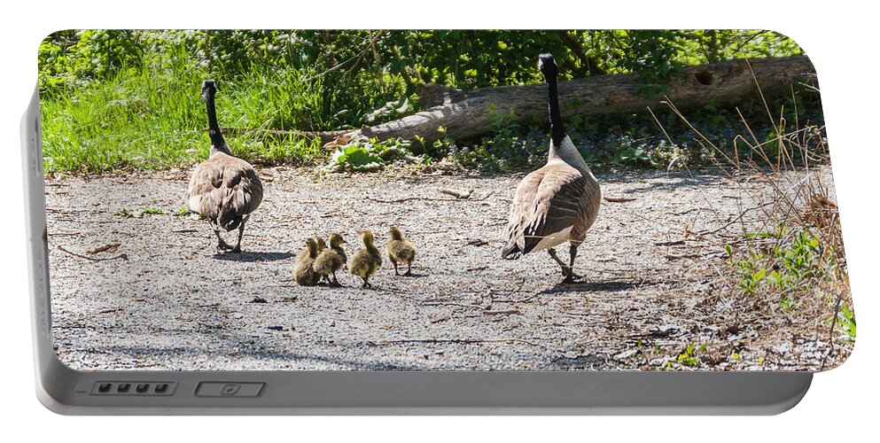 Heron Heaven Portable Battery Charger featuring the photograph Canada Geese Family Walk by Ed Peterson