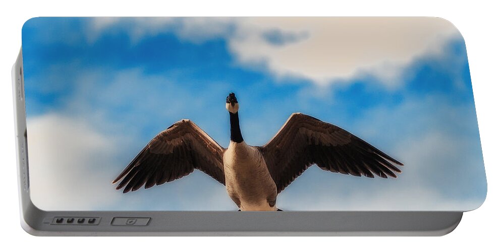 Heron Heaven Portable Battery Charger featuring the photograph Canada Geese In Spring by Ed Peterson