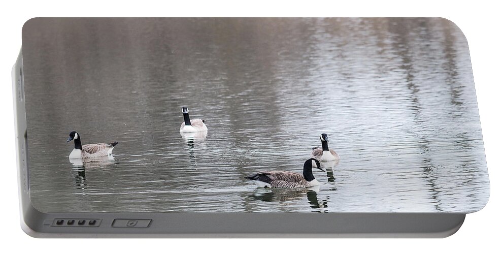 Heron Heaven Portable Battery Charger featuring the photograph Canada Geese Swing by Ed Peterson
