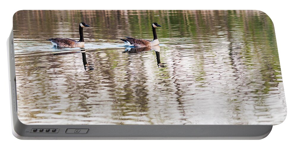 Heron Heaven Portable Battery Charger featuring the photograph Canada Goose Date Swim by Ed Peterson