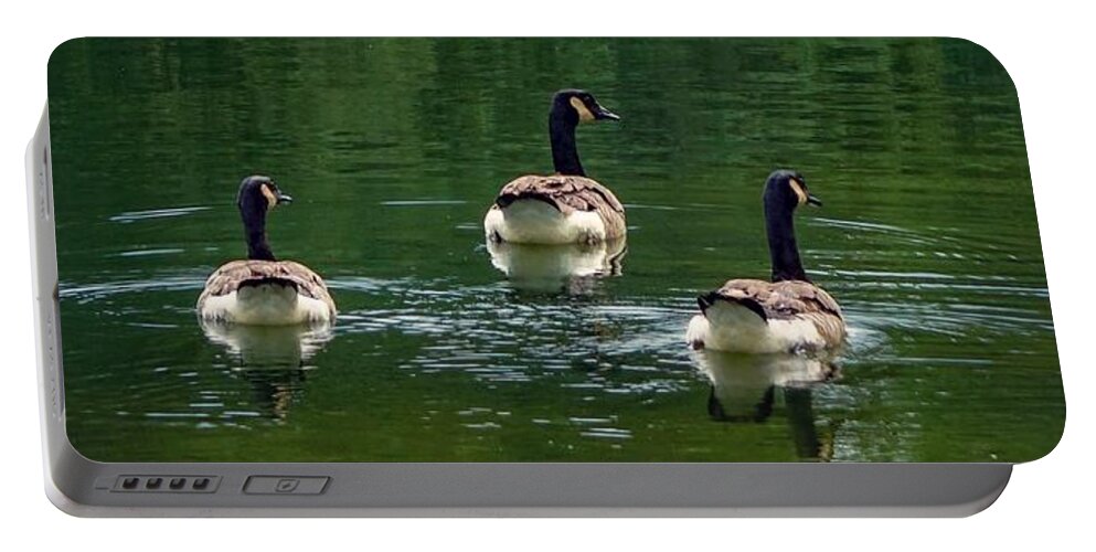  Portable Battery Charger featuring the photograph Canada Goose Trifecta by Kendall McKernon