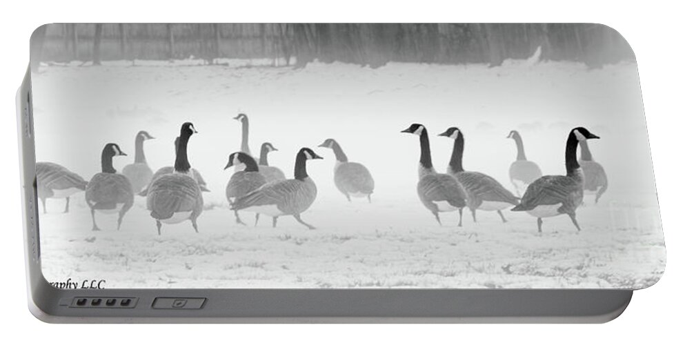 Canadian Geese Portable Battery Charger featuring the photograph Canadian Geese by JCV Freelance Photography LLC